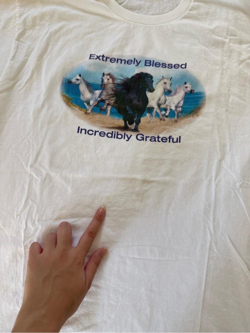 Blessed & Grateful T-Shirt - Picture 3 of 5